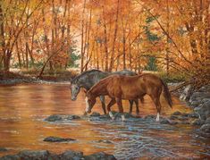 Serenity—Horses | Wild Wings. Equine Artwork, Horse Art Print, Horse Artwork, Horse Wallpaper, Cowboy Art, Horse Drawings, Thomas Kinkade, Equine Art, Arte Animal