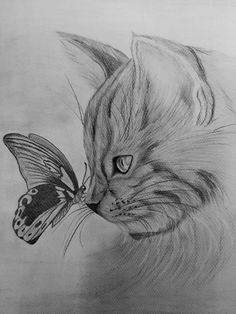 a drawing of a cat with a butterfly on it's nose