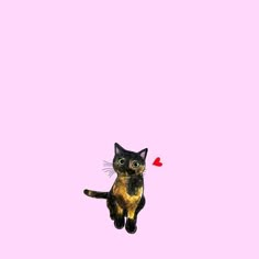 a black and brown cat with a red heart on its head flying through the air