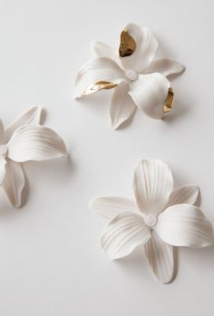 three white flowers on a white surface next to each other with gold tips and petals