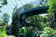 the inside of a building with trees and plants growing on it's sides, along with a spiral staircase