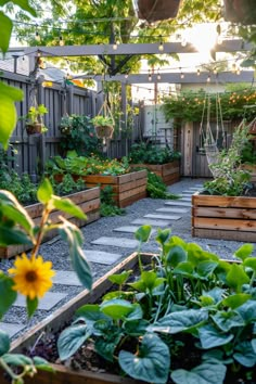 an outdoor garden with lots of plants and flowers in the center, surrounded by wooden planters