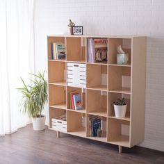 a bookshelf with several compartments and two plants