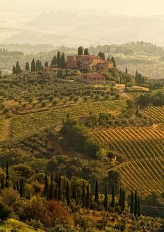 an old house on top of a hill surrounded by trees