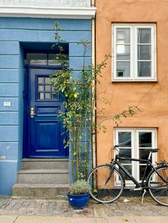 a bicycle is parked next to a blue door and planter on the sidewalk in front of an orange building