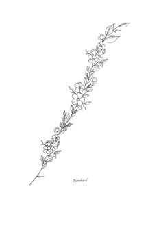 Clipart Tattoo Ideas, Flower Spine Tattoo Design, Floral Line Drawing Simple, Flower Spine Tattoo Stencil, Small Flower Spine Tattoo, Flowers Down Spine Tattoo, Floral Spine Tattoo Design, Simple Floral Spine Tattoo