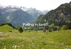 a grassy field with mountains in the background and a quote that reads falling in love?