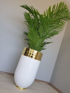 a plant in a white and gold vase