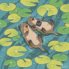 two otters are floating in the water with lily pads on their backs and one is holding a camera