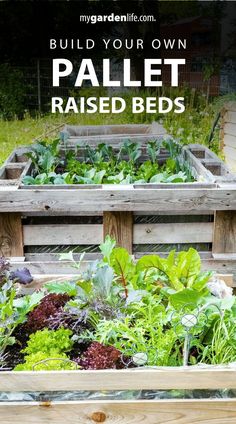 an outdoor garden with raised beds full of vegetables and plants in the background text reads build your own pallet raised beds