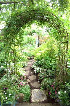 a garden with lots of plants and flowers