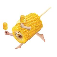 a cat in a corn on the cob costume holding two small pieces of food