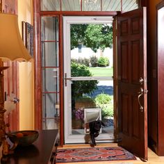 a cat is standing in front of the open door to an outside room with a rug on the floor