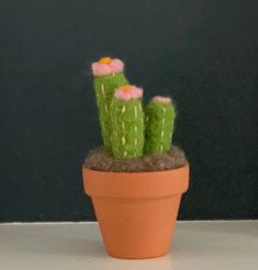 there is a small potted cactus with flowers in it