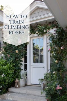 a white door with roses growing on it and the words how to train climbing roses