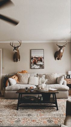 a living room filled with furniture and deer head mounted on the wall above it's windows