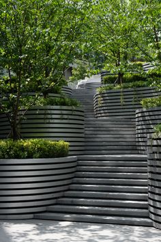 an outdoor area with several planters and steps leading up to the tree lined walkway