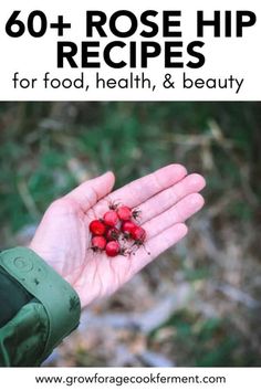 a hand holding berries with text overlay that reads 60 rose hip recipes for food, health and beauty