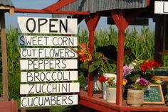 an open sign on the side of a building with potted plants in front of it