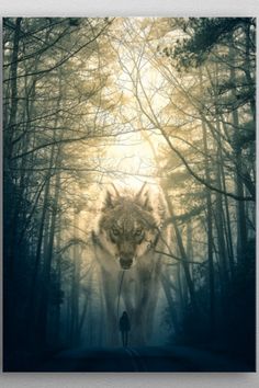 a person standing in the middle of a forest with a wolf on it's back