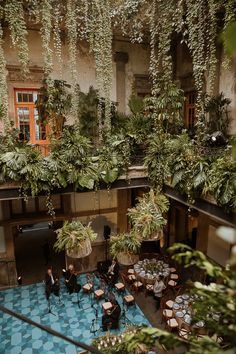 an overhead view of a restaurant with lots of plants hanging from the ceiling and tables