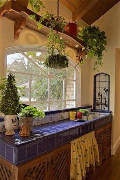 a kitchen filled with lots of potted plants on top of a window sill