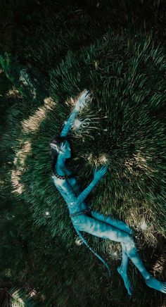 an aerial view of a person laying in the grass