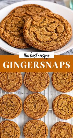 the best crispy ginger snaps are made with only 3 ingredients