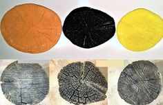 four different types of tree rings are shown in three separate images, one is yellow and the other is black