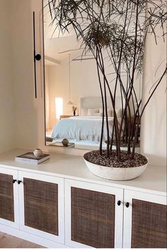 there is a potted plant on top of the dresser in this bedroom with white walls and wood flooring