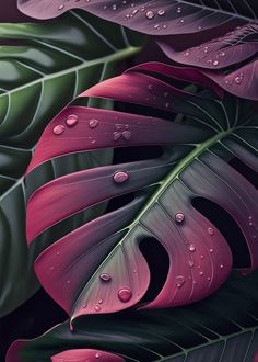 'Monstera Bliss' Poster by Steel Canvas Creations | Displate Easy Drawing Steps, Inspiring Art, Jolie Photo, Leaf Art, Flower Images, Step By Step Drawing, Water Drops, Easy Paintings, Nature Wallpaper