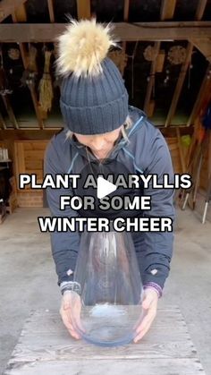 a man wearing a beanie and holding a vase with water in it that says plant a arryllis for some winter cheer