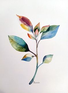 a watercolor painting of a single leaf