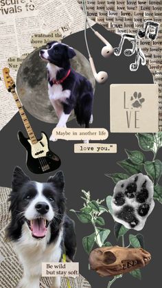 a collage of dogs and music instruments with the words love written on them in different languages