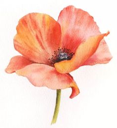 a watercolor painting of an orange flower