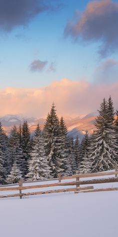 a snowy field with trees and mountains in the background