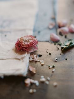 a flower that is sitting on top of a piece of paper next to some seeds