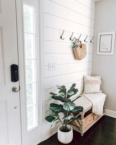 a white entryway with a potted plant and coat hooks on the wall next to it