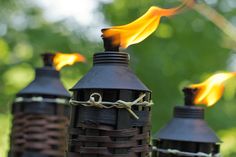 How To Make Citronella Candles: Perfect DIY For Summer! Hawaiian Pool Party Ideas, Front Yard Lights, Kill Fruit Flies, Spices And Their Uses, Hawaiian Pool Party, Drain Flies, Jungle Pool