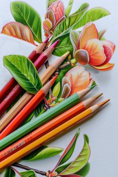 colored pencils are arranged in the shape of flowers