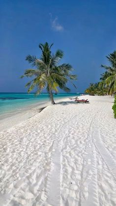 the beach is lined with palm trees and white sand