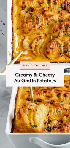 creamy and cheesy au gratin potatoes in a white casserole dish