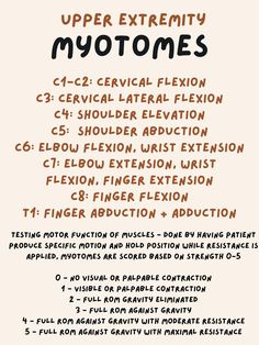 neurological screening dermatome myotome deep tendon reflexes lower extremity sensation motor function healthcare health professions nursing physical therapy athletic training physician nerve roots spine cervical thoracic lumbar Deep Tendon Reflexes, Physical Therapy Assistant Student, Pta Programs, Physical Therapy Humor, Therapy Humor