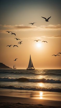 a sailboat is sailing in the ocean as birds fly by at sunset or dawn