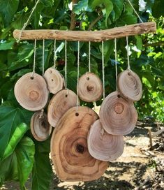 several wooden discs hanging from a tree branch