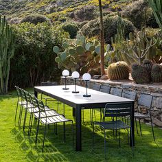 a table and chairs in the middle of a yard with cacti on it