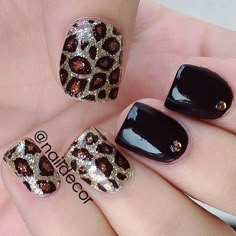 Instagram photo by naildecor #nail #nails #nailsart Leopard Print Nail, Leopard Nail Art, Animal Print Nails Art, Cheetah Nails, Print Nails, Leopard Nails, Animal Nails, Animal Print Nails, Get Nails