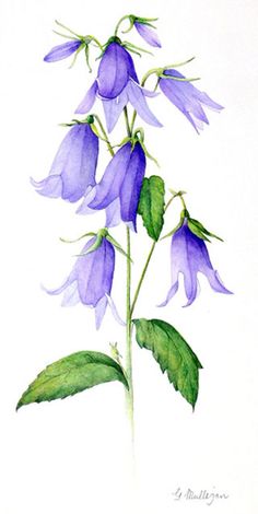 a painting of purple flowers with green leaves