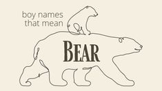 an image of a bear with the words baby names that mean bear on it's back