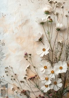 some white flowers are growing out of a vase on a piece of paper that has been altered to look like an old photo